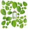 HT26 - Mint Pure Essential Oil 125 ml - HT26.CA : Scientists Devoted to Black Beauty
