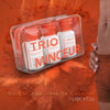 TRIO MINCEUR: Bruleur de graisse, Ventre Plat,Coupe Faim