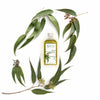 HT26 - Eucalyptus Pure Essential Oil 125 ml - HT26.CA : Scientists Devoted to Black Beauty
